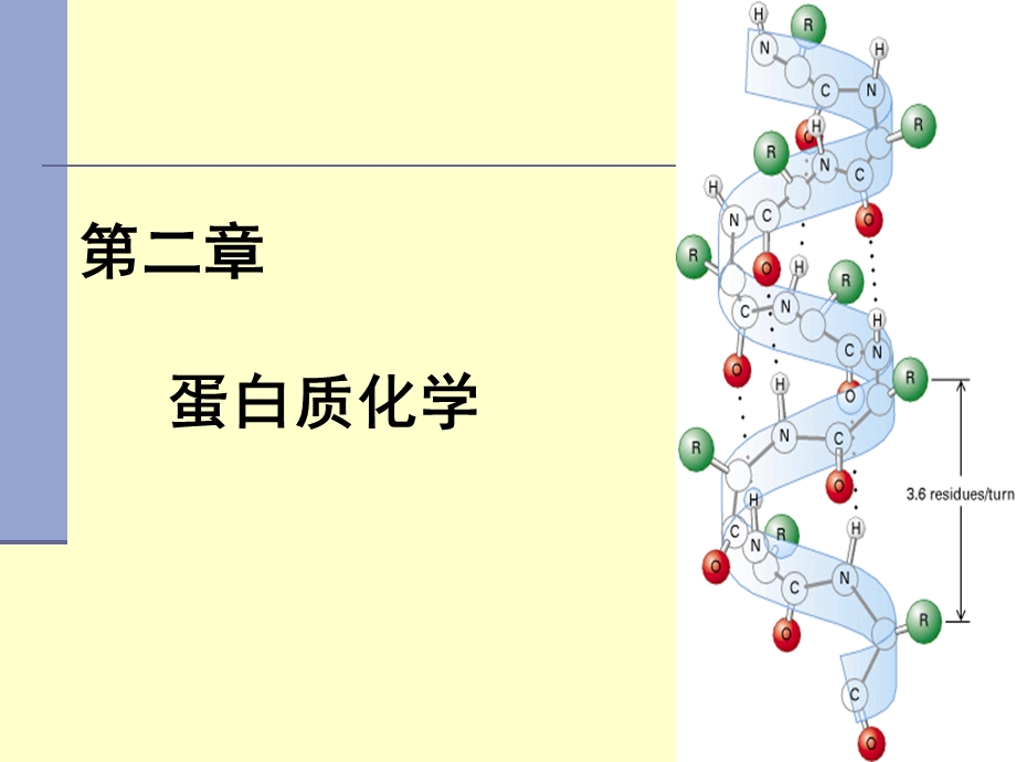 第2章 蛋白质.ppt_第1页