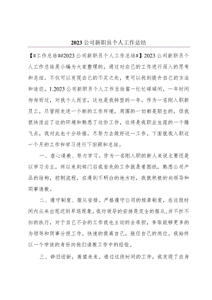 2023公司新职员个人工作总结.docx