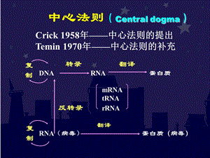 第2章中心法则.ppt