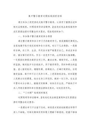 集中警示教育对照检视剖析材料 (4).docx