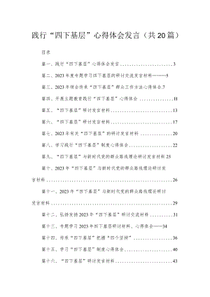 践行“四下基层”心得体会发言（共20篇）.docx