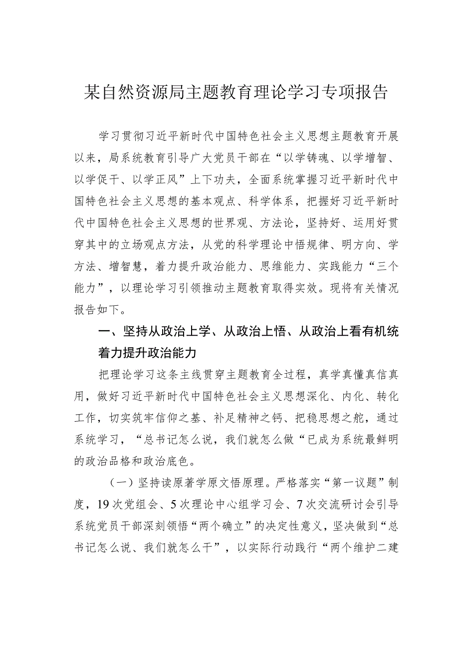 某自然资源局主题教育理论学习专项报告.docx_第1页