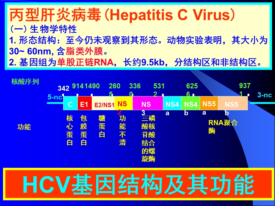 第29章肝炎病毒名师编辑PPT课件.ppt_第3页