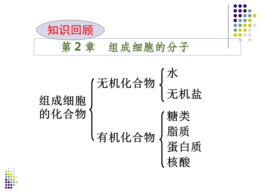 第1章走近细胞生命系统的层次名师编辑PPT课件.ppt_第2页