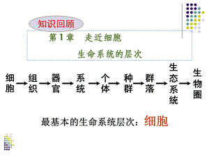 第1章走近细胞生命系统的层次名师编辑PPT课件.ppt