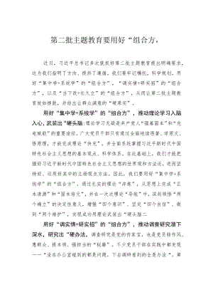 第二批主题教育要用好“组合方”.docx