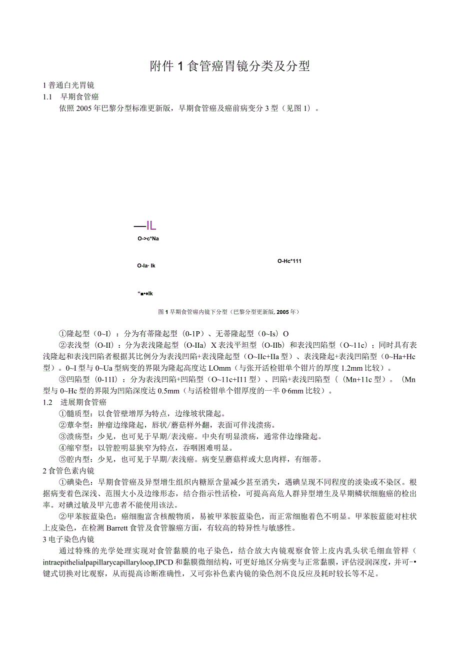 食管癌胃镜分类及分型.docx_第1页