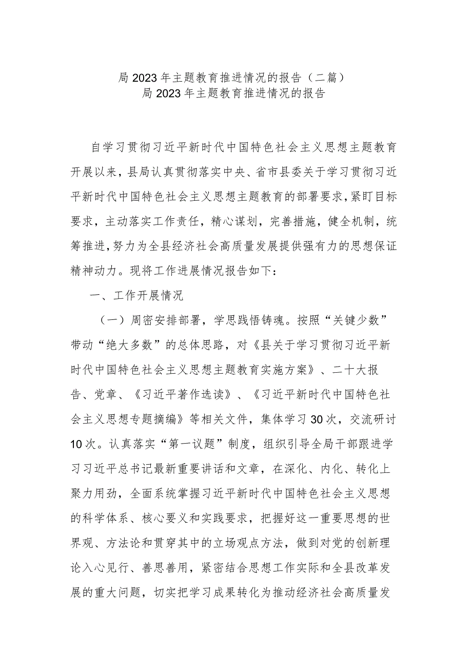 局2023年主题教育推进情况的报告(二篇).docx_第1页