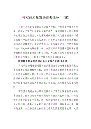 锚定高质量发展首要任务不动摇.docx