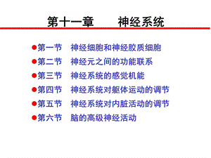 第十一章神经系统.ppt