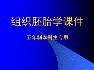 第23章消化系统和呼吸系统的发生.ppt