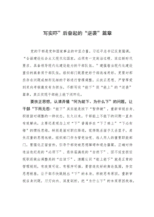 写实“下”后奋起的“逆袭”篇章.docx