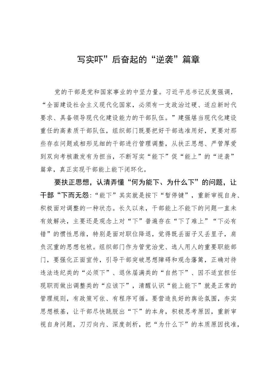 写实“下”后奋起的“逆袭”篇章.docx_第1页