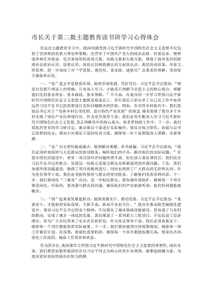 市长关于第二批主题教育读书班学习心得体会.docx