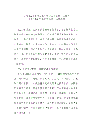 公司2023年落实主体责任工作总结(二篇).docx