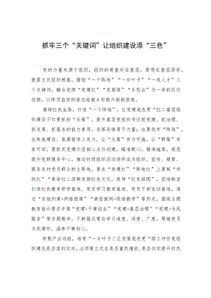 抓牢三个“关键词” 让组织建设添“三色”.docx