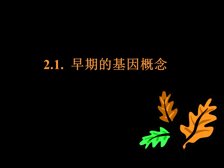 第21章基因的概念.ppt_第3页