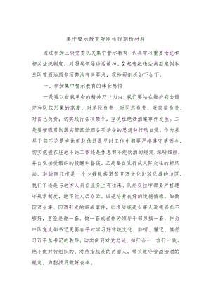 集中警示教育对照检视剖析材料.docx