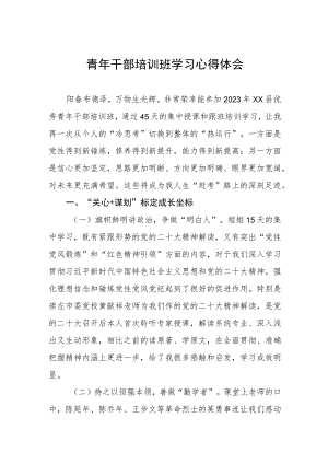 关于优秀青年干部培训班学习的心得体会.docx