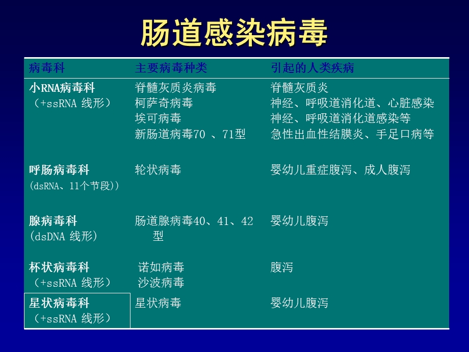 第2728章肠道感染病毒.ppt_第2页