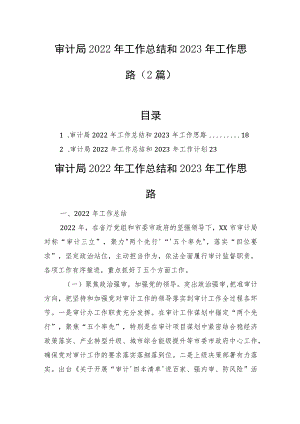 审计局2022年工作总结和2023年工作思路（2篇）.docx