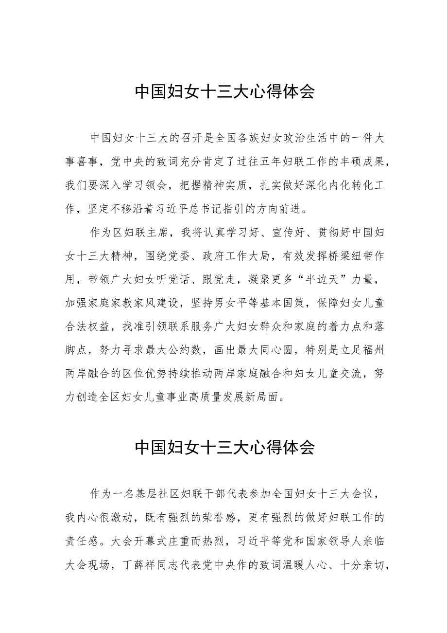 妇联干部学习中国妇女第十三次全国代表大会精神心得体会十篇.docx_第1页