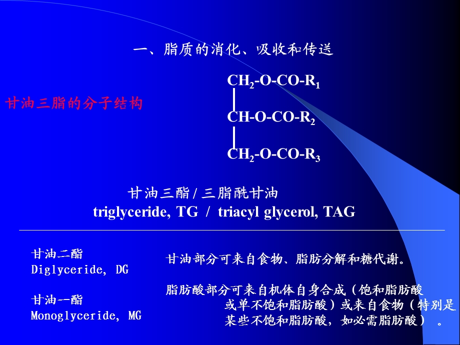 第28章脂肪酸的分解代谢.ppt_第3页