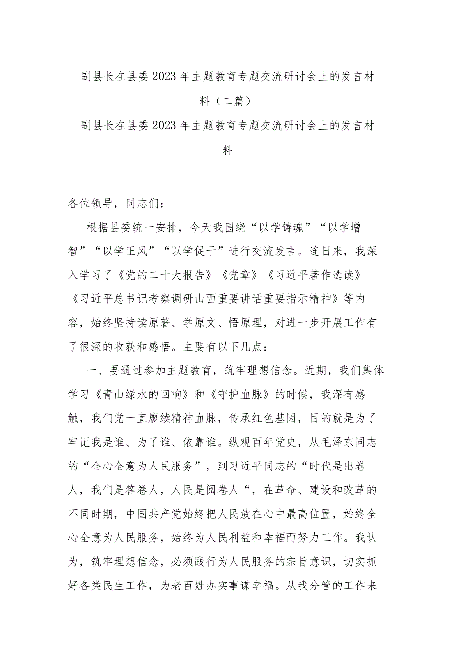 副县长在县委2023年主题教育专题交流研讨会上的发言材料(二篇).docx_第1页