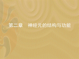 第2章神经元的结构与功能.ppt