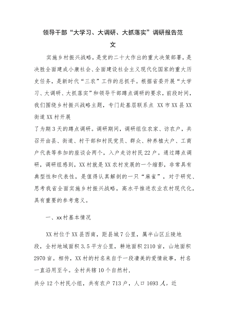 领导干部“大学习、大调研、大抓落实”调研报告范文.docx_第1页