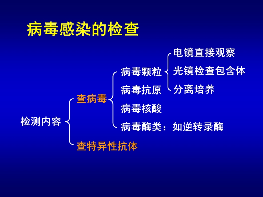 第25章病毒感染的检查方法与防治原则名师编辑PPT课件.ppt_第3页