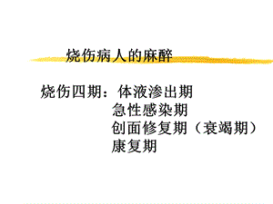 第24章烧伤病人的麻醉名师编辑PPT课件.ppt