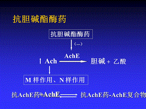 第2章2传出神经系统药物.ppt