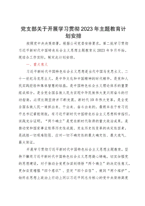 党支部关于开展学习贯彻2023年主题教育计划安排.docx