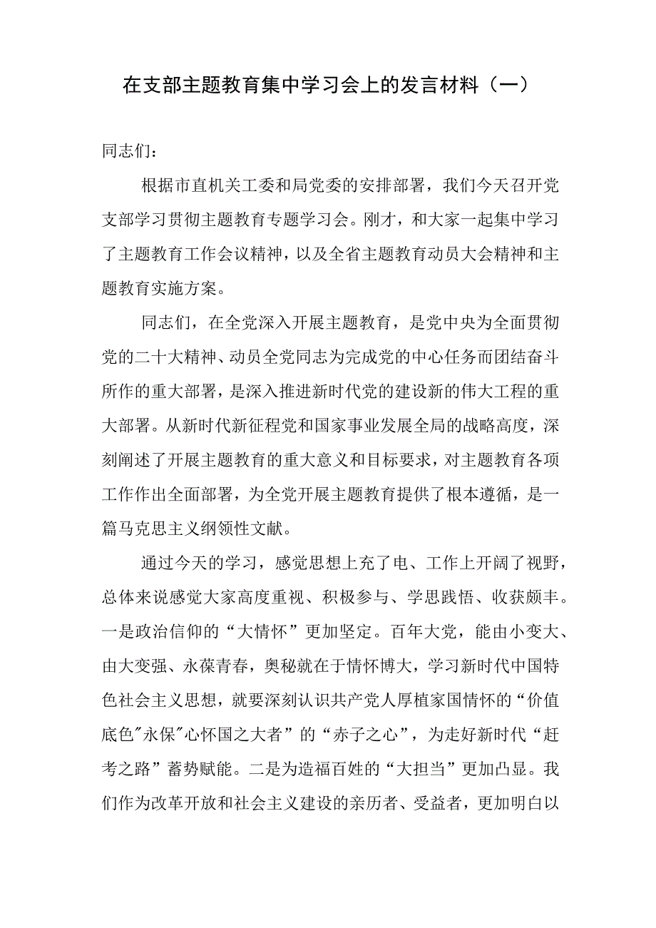 主题教育支部集中学习会发言材料参考汇编（3篇）.docx_第2页