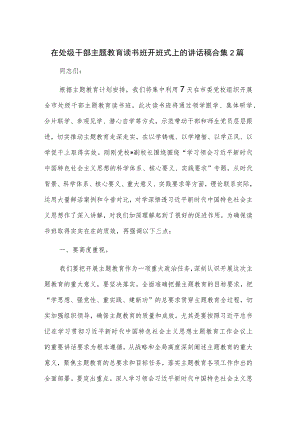 在处级干部主题教育读书班开班式上的讲话稿合集2篇.docx