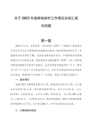 关于2023年度耕地保护工作情况总结汇报共四篇.docx