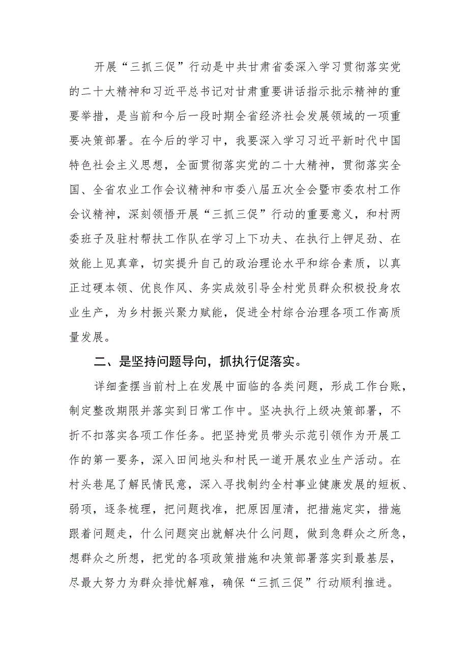 (最新)驻帮扶村第一书记三抓三促行动进行时学习心得感悟5篇.docx_第3页