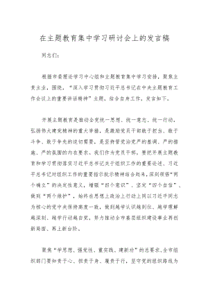 在主题教育集中学习研讨会上的发言稿.docx