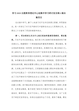 学习2023主题教育理论中心组集中学习研讨发言稿2篇合集范文.docx