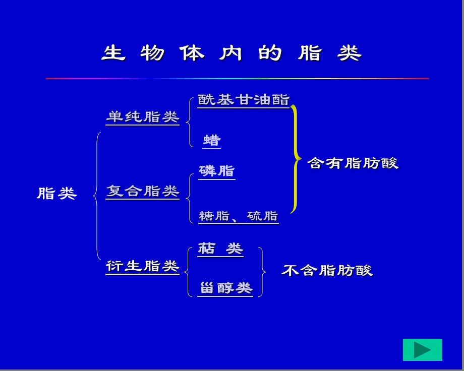 第6章脂代谢.ppt_第3页