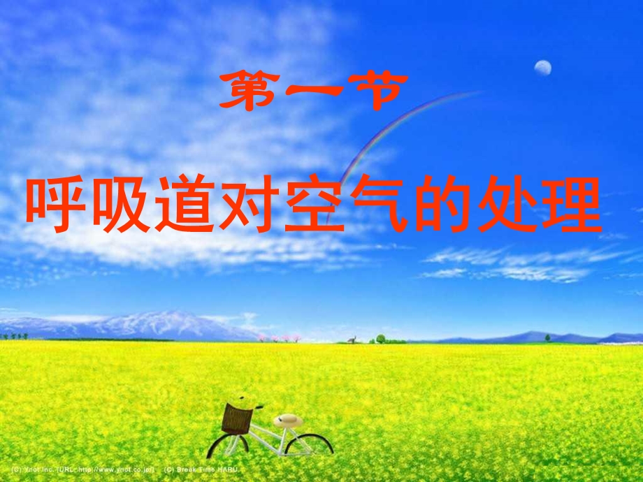 第一节呼吸道对空气的处理名师编辑PPT课件.ppt_第1页