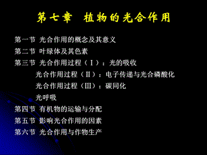 第七章 光合作用.ppt