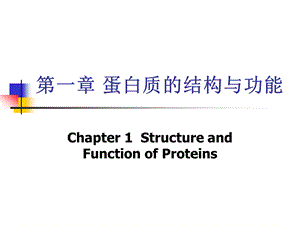 第一部分蛋白质的结构与功能教学课件名师编辑PPT课件.ppt