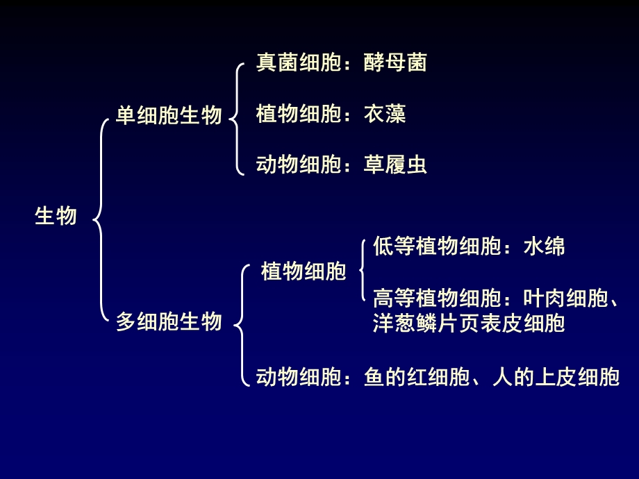 第一部分走进细胞名师编辑PPT课件.ppt_第2页