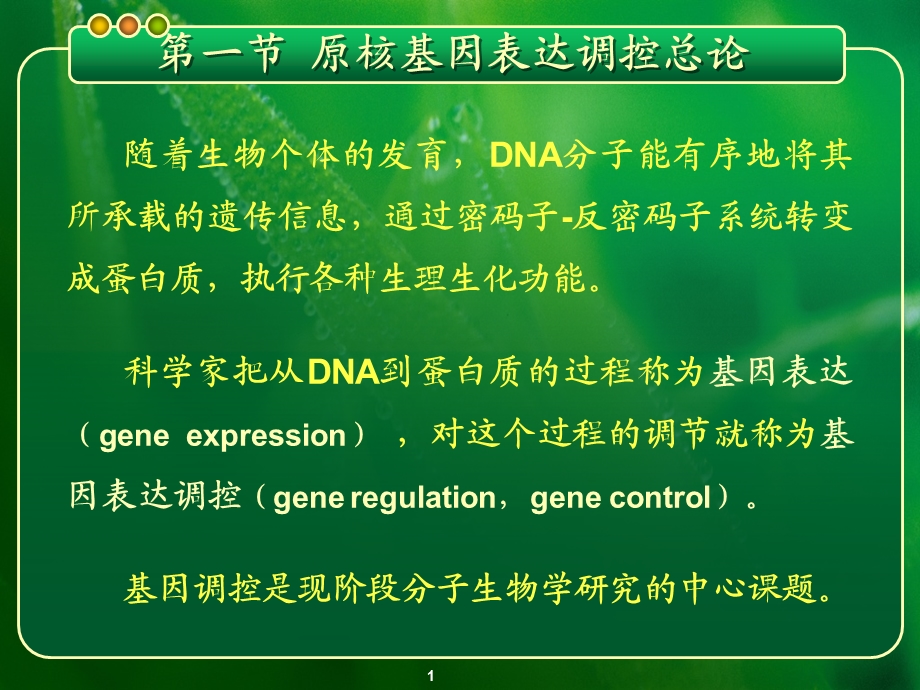 第七章基因的表达与调控——原核基因表达调控模式.ppt_第1页