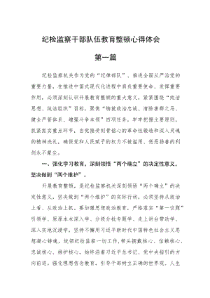 纪检监察干部队伍教育整顿心得体会共四篇.docx