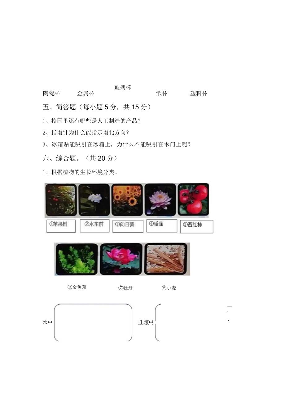 苏教版二年级科学上册期中试卷(及参考答案).docx_第3页