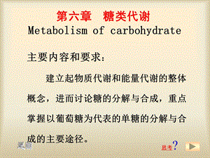 第6章糖类代谢2.ppt