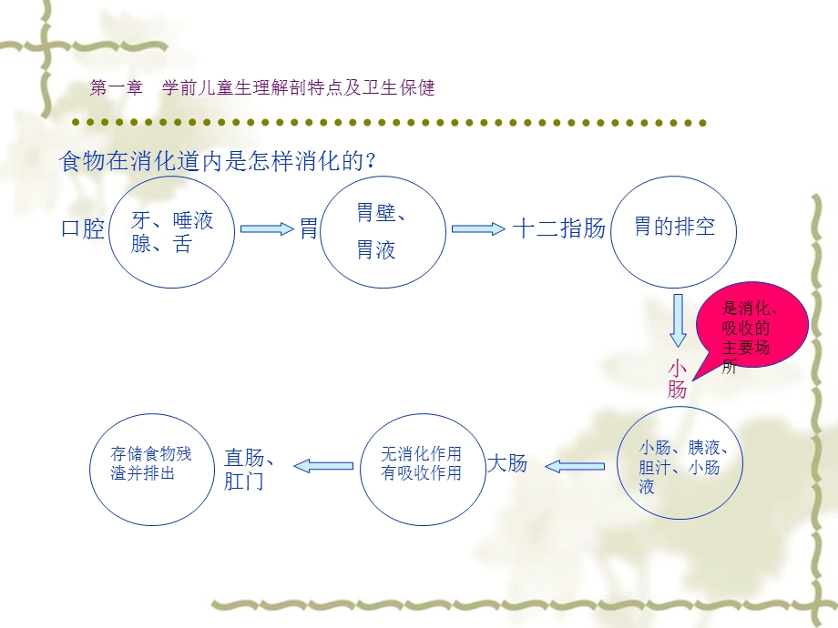 第一部分学前儿童生理解剖特点及卫生保健教学课件名师编辑PPT课件.ppt_第2页